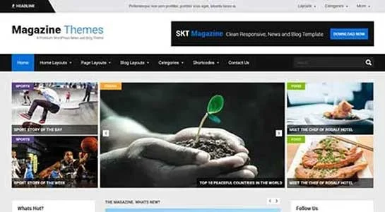 SKT Click Surge - High CTR WordPress Theme