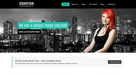 SKT Elite - High End WordPress Theme