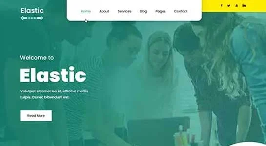 Energetic Pro - Dynamic WordPress Theme