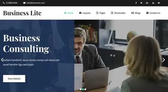 SKT Digital Finance - fintech Wordpress Theme