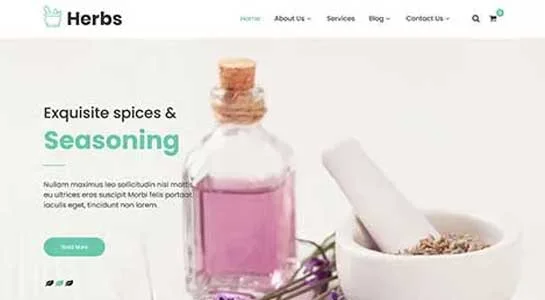 10 Best Herbal Medicine WordPress Themes for Ayurvedic Websites SKT Natural Remedy - Herbal Medicine WordPress Theme