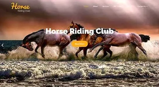 9 Best Horse Ranch WordPress Themes for Equestrian Centers SKT Stable - Horse Ranch WordPress Theme