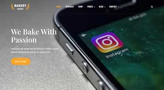 8 Best WordPress Themes with Instagram Feed Integration SKT InstaShow - Instagram Feed WordPress Theme
