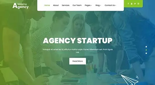11 Best Internet Marketing WordPress Themes for Online Advertising Company SKT Oriental Medicine - Internet Marketing WordPress Theme
