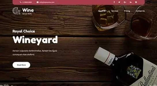 15 Best Liquor Store WooCommerce Themes for Wine Bars Drinks SKT Alcohol Shop - Liquor Store Woocommerce Theme