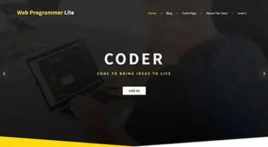 11 Best Programmer Portfolio WordPress Themes for Programming Websites PHP Programming - Programmer Portfolio WordPress Theme