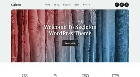 8 Best Skeleton WordPress Themes Which are base foundation web templates Skeleton FSE Pro - Skeleton WordPress Theme