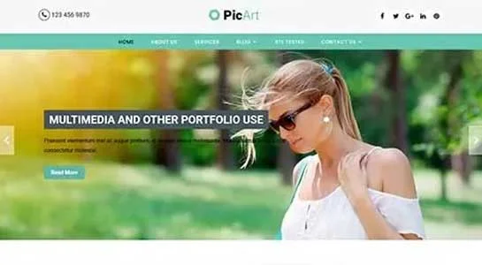 14 Responsive Killer WordPress Themes for Developing Killer Websites SKT Impact - Killer WordPress Theme