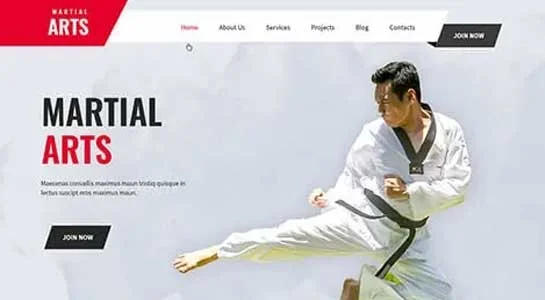 Martial Arts - Martial Arts WordPress Theme