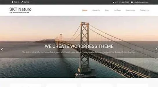 12 Best Minimalist WordPress Themes for Minimal Simple Sites Naturo Lite - Free Minimalist WordPress Theme