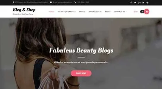 14 Best News Blog WordPress Themes for Fresh Updates SKT Newscast - news blog WordPress Theme