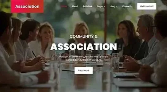 25 Best Organization WordPress Themes for Community Websites Alliance Pro - Organization WordPress Theme