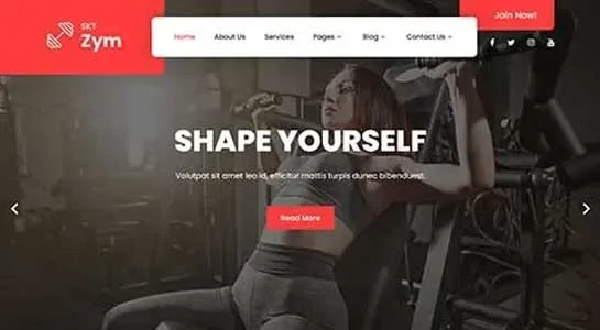 17 Flexible Pilates WordPress Themes for Fitness Studios SKT Calisthenics - Pilates WordPress Theme