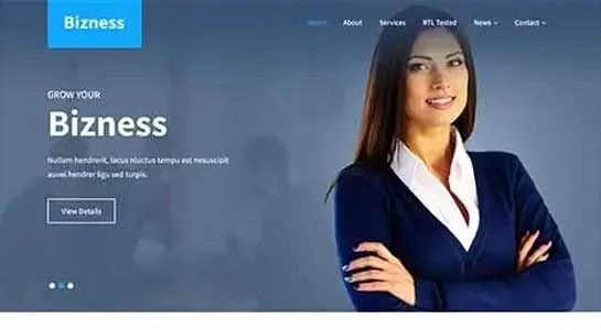 13 Best Service Provider WordPress Themes for Service Base Websites Business Suite - Service Provider WordPress Theme