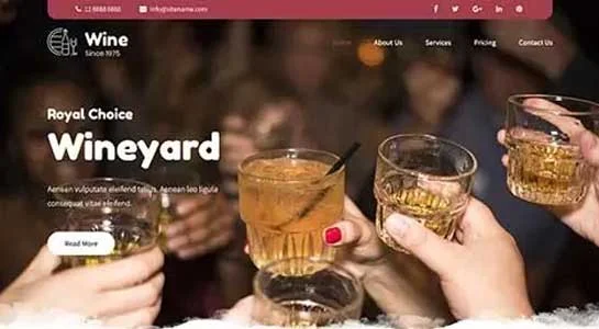 13 Best Social Club WordPress Themes for Social Groups SKT Guild - Social Club WordPress Theme
