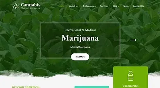 14 Best Tobacco WordPress Themes for Tobacco Industry SKT Nicotine - Tobacco WordPress Theme