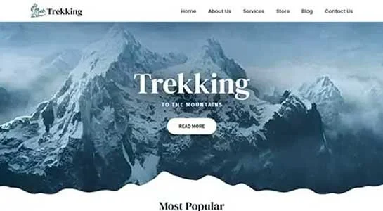 15 Best Tour Package WordPress Themes to Boost Travel Site Trip Packages - Tour Package WordPress Theme