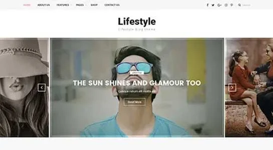 Lifestyle - Lifestyle WordPress Theme