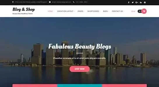 9 Best Novelist WordPress Themes for Novels eBook Authors Journalists SKT Storyteller - Novelist WordPress Theme