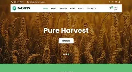 Top 15 Organic Market WordPress Themes for Eco-friendly Stores SKT BioMarket - Organic Market WordPress Theme