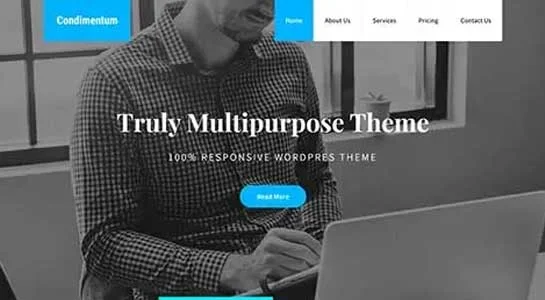21 Page Builder Compatible WordPress Themes For Easy Design SKT VisualBuilder - Page Builder Compatible WordPress Theme
