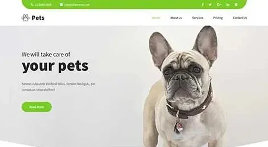 10 Best Pet Shop WordPress Themes & Templates for Pet Store SKT Animal Retailer - Pet Shop WordPress Theme